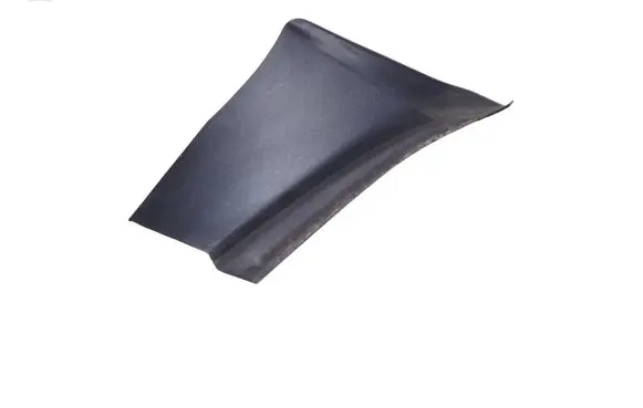 Rear/tail light trim molding