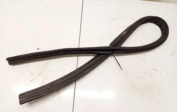 Dacia Sandero Rubber seal rear door PILKOS