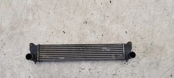 Suzuki SX4 Intercooler radiator 1362079j51