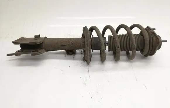 Hyundai Santa Fe Front shock absorber/damper 546512W900