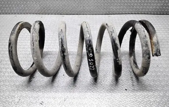 Hyundai Santa Fe Rear coil spring