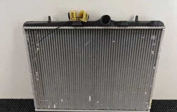Peugeot 207 Coolant radiator 873461000