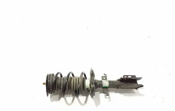 Renault Scenic E-Tech V Rear shock absorber/damper 562100455R