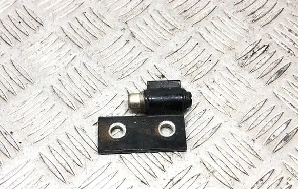 BMW 5 E39 Rear door lower hinge
