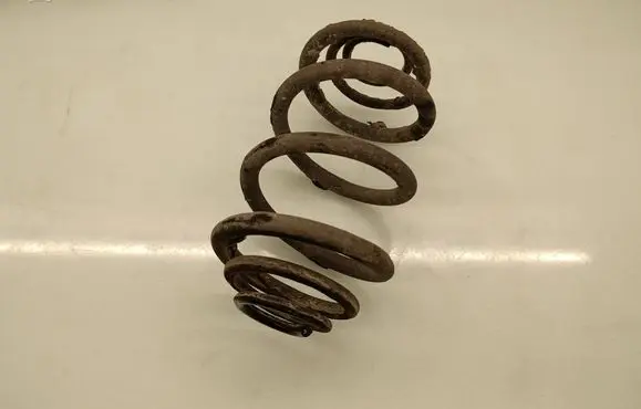 Opel Vivaro Rear coil spring 