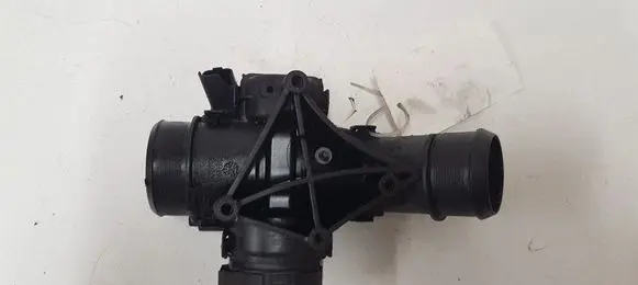 Citroen Berlingo Throttle valve 9660030580