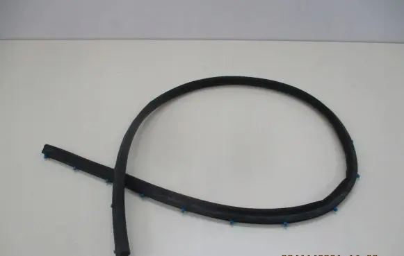 BMW X2 F39 Rubber seal rear door 7349646