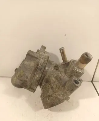 Thermostat/thermostat housing
