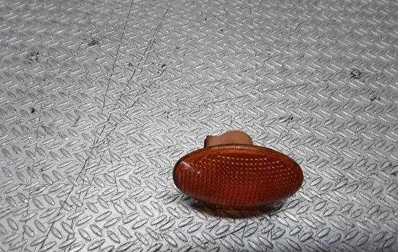 Front fender indicator light