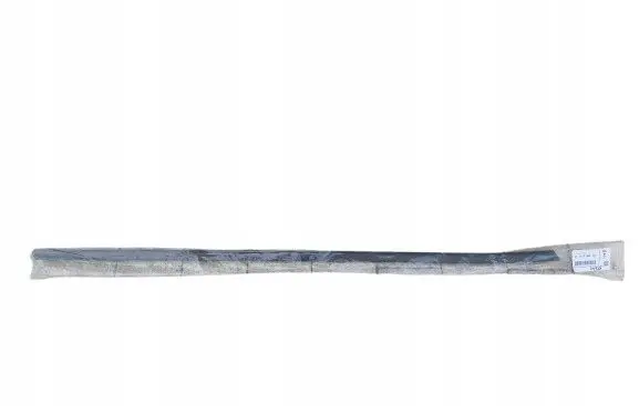 BMW 2 F45 Front door glass trim molding 