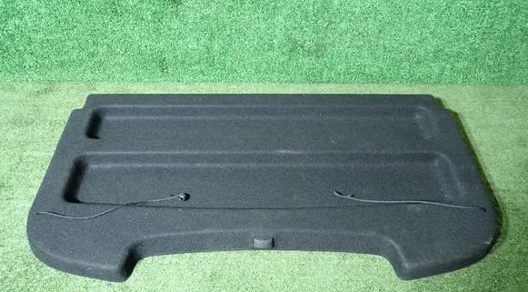 Dacia Sandero III Parcel shelf 794205701R