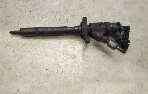Citroen C3 Fuel injector 0445110311