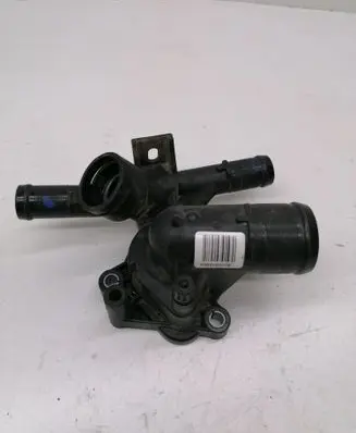 Thermostat/thermostat housing