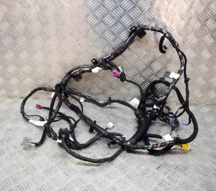 Tesla Model 3 Other wiring loom 311769000B