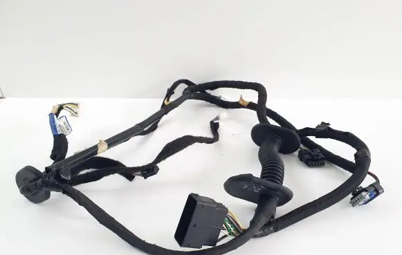 Renault Trafic III (X82) Front door wiring loom 93455522 241241579R