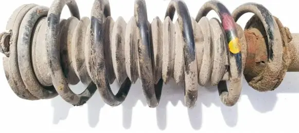 Citroen C5 Front coil spring
