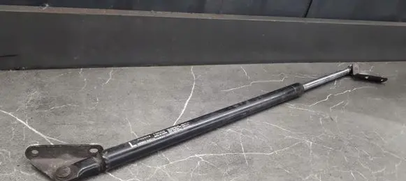 Ford B-MAX Tailgate strut 68960-44010