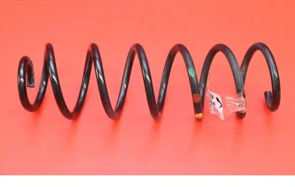 Rear coil spring
