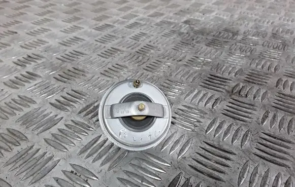 Volkswagen New Beetle Thermostat 07K121133B