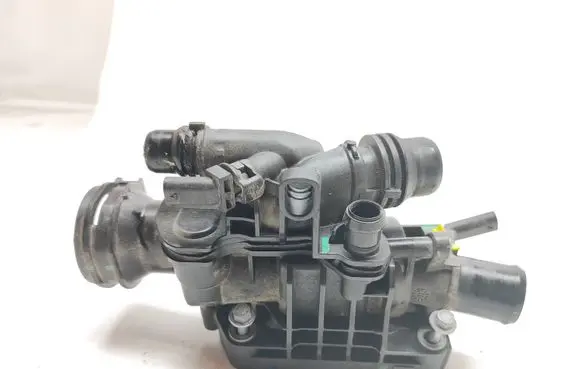Thermostat/thermostat housing