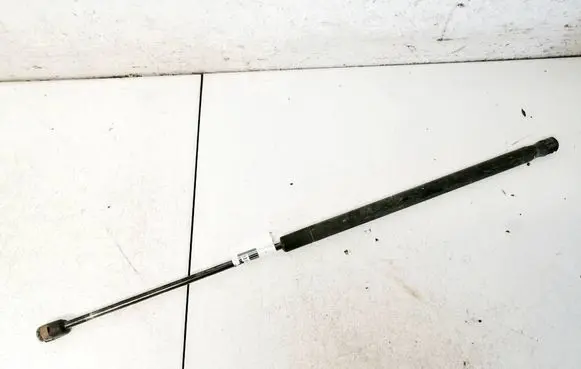 Tailgate/trunk strut/damper