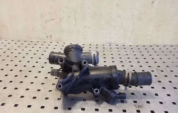 Thermostat/thermostat housing
