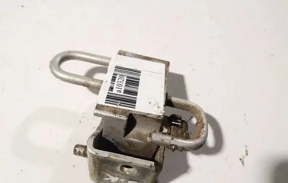 Volkswagen Golf IV Rear door lower hinge