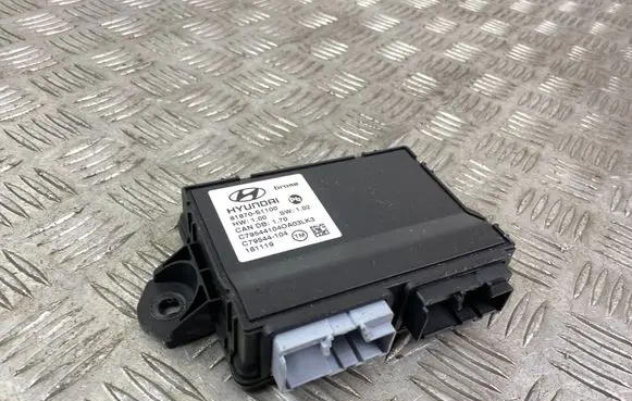 Hyundai Santa Fe Other control units/modules 81870S1100