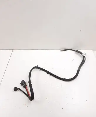 Other wiring loom
