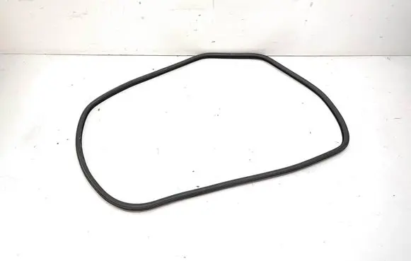BMW 5 F10 F11 Rear door rubber seal (on body) 7199775