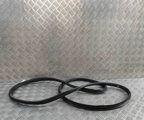 Nissan Ariya Rubber seal rear door 828315MP0A