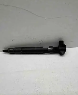 Mercedes-Benz Sprinter W906 Fuel injector 28307309 A6510703087