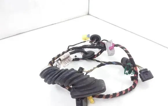 Front door wiring loom