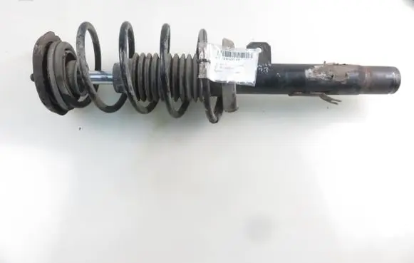 Front shock absorber with coil spring