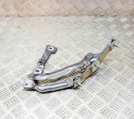 Tailgate/trunk/boot hinge