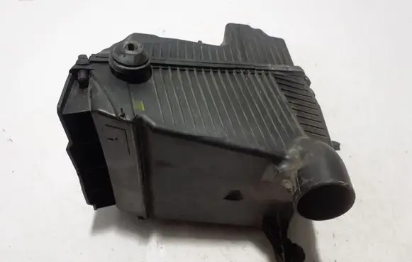 Renault Kangoo II Air filter box 165003318R