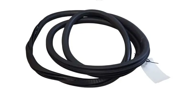 Citroen C4 Grand Picasso Rubber seal front door (on door) 