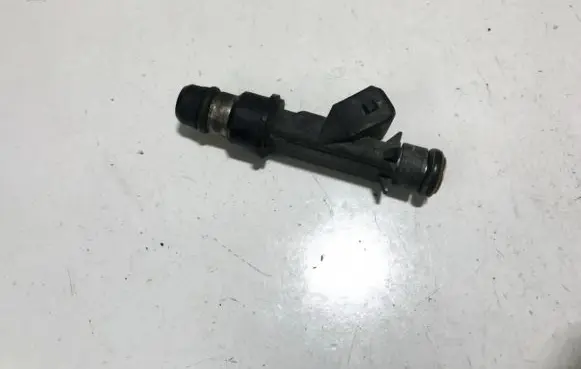 Opel Zafira B Fuel injector 25343299