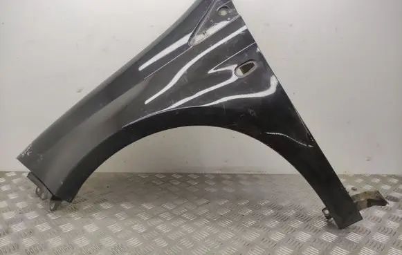 Fiat Bravo Fender