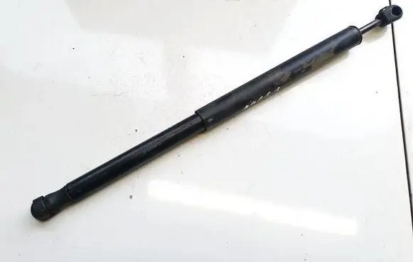 Tailgate/trunk strut/damper