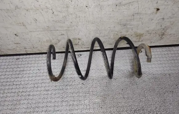Front coil spring