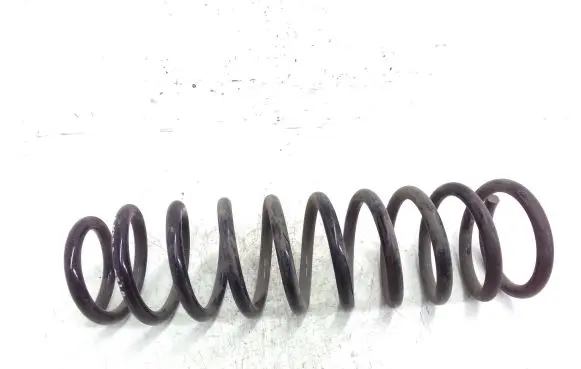 Mitsubishi Outlander Rear coil spring