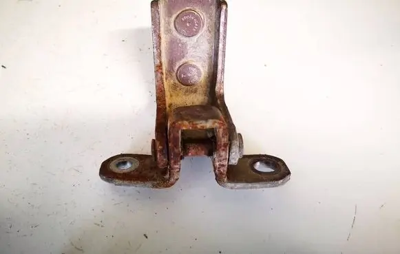 Rear door lower hinge