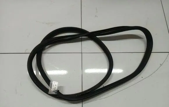 Renault Clio III Rubber seal rear door 
