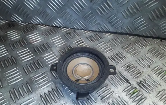 Opel Zafira C Panel speaker 545295771 13240967