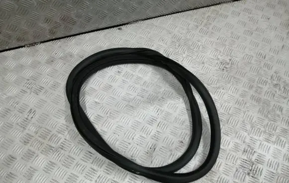 Citroen C4 III e-C4 Rubber seal rear door 