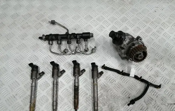 Ford Ecosport Fuel injector 9828959880 9818034380