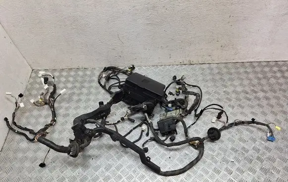 Toyota Verso Other wiring loom 821110F710 8266205160