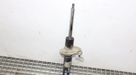 Volkswagen PASSAT B7 Front shock absorber/damper 3AA413031M