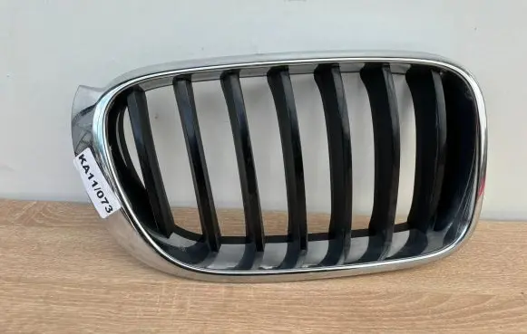 BMW X3 F25 Front grill 106271-10